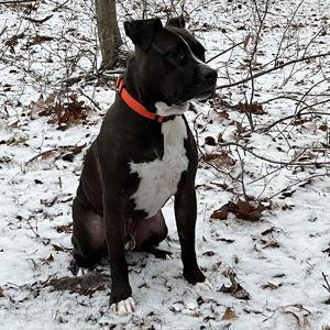 Angus Treat Fund