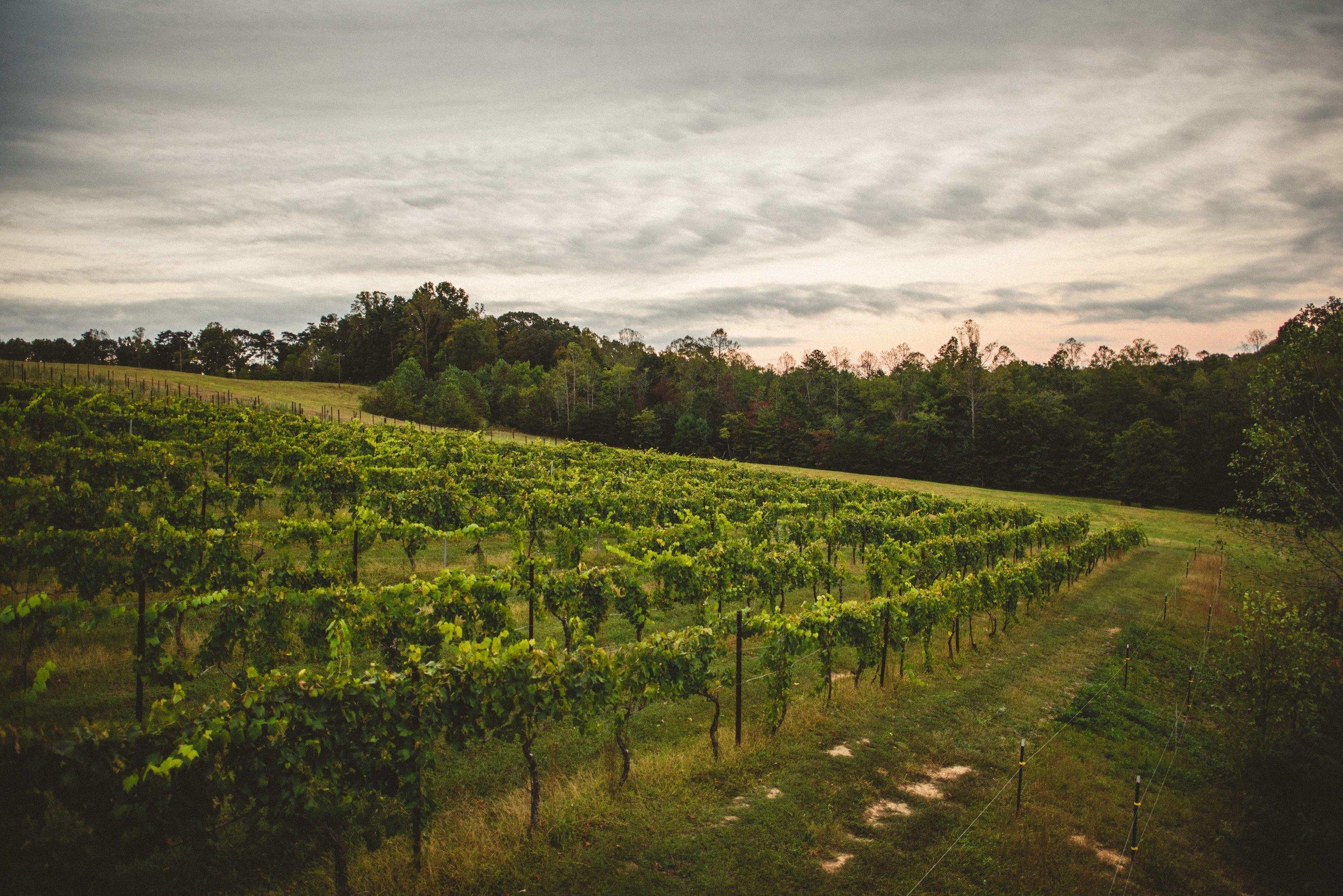 The Wedding Website of Kayla Romero and Sheldon Morais