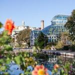 Brooklyn Botanic Garden