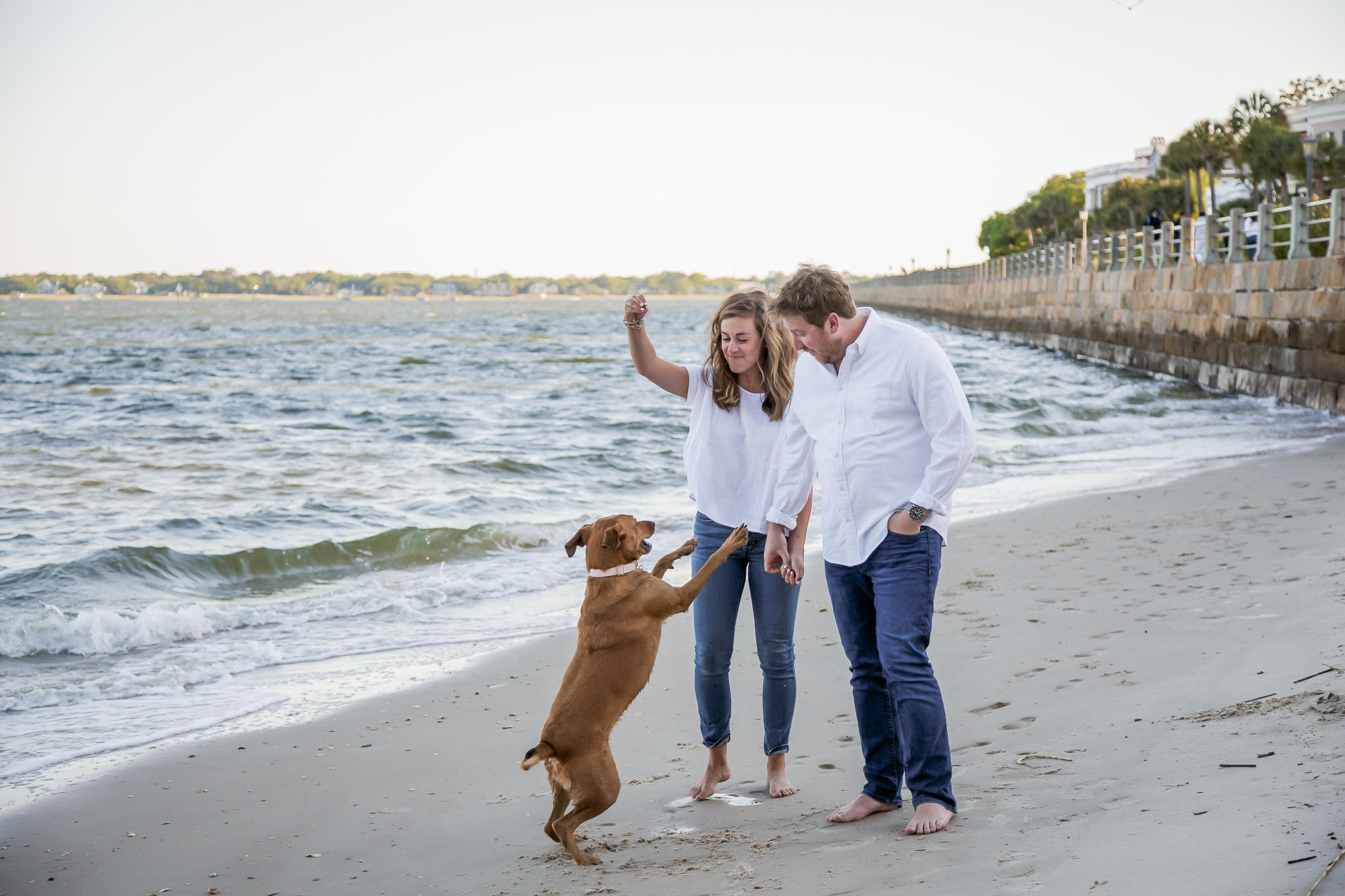 The Wedding Website of Elizabeth Rosinski and John Pontius