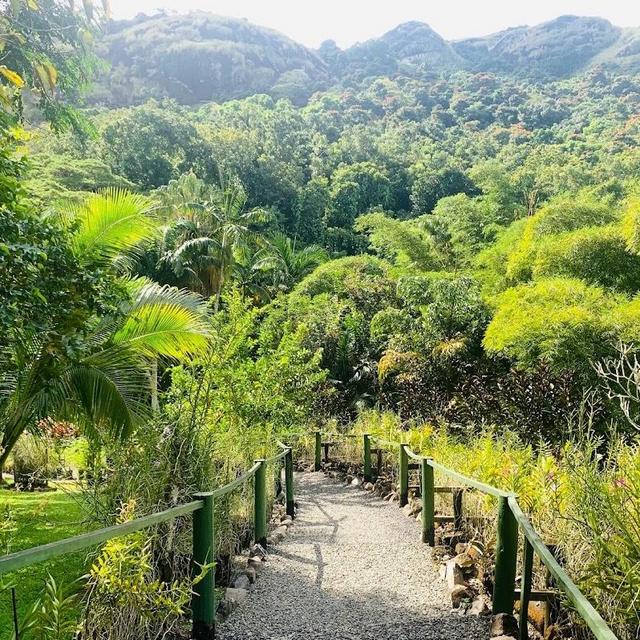 The Garden of the Sleeping Giant
