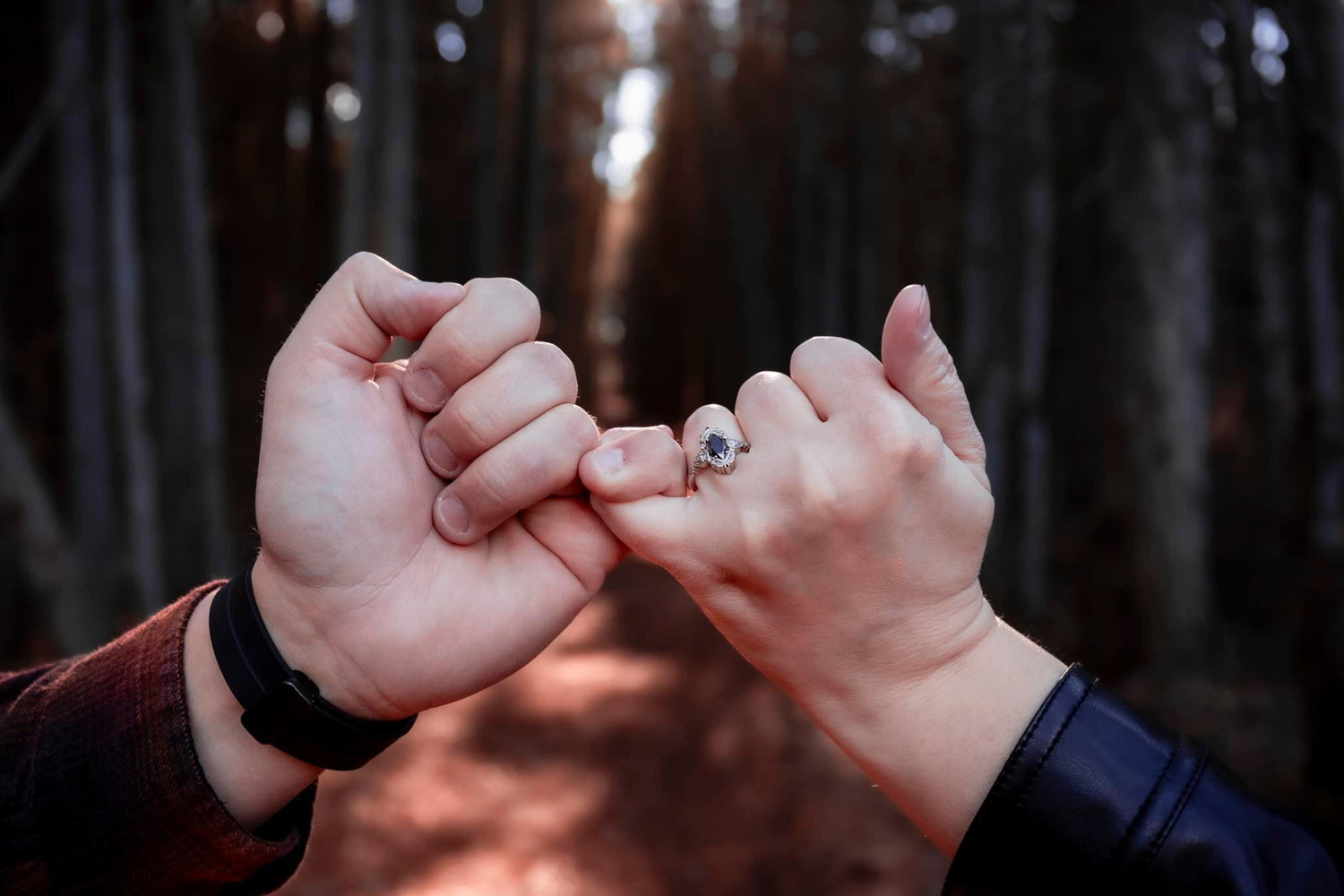 The Wedding Website of Chelsea Carballo and Joseph Rea