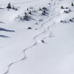 Cat Skiing