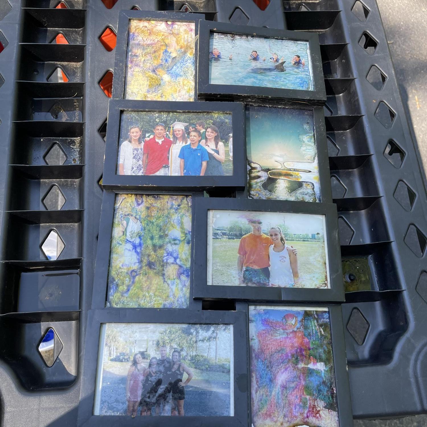 Framed photos vs. hot house = psychedelic mess - 2022