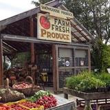 Snow Goose Produce