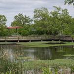 Cedar Mountain - Dallas County Nature Preserve