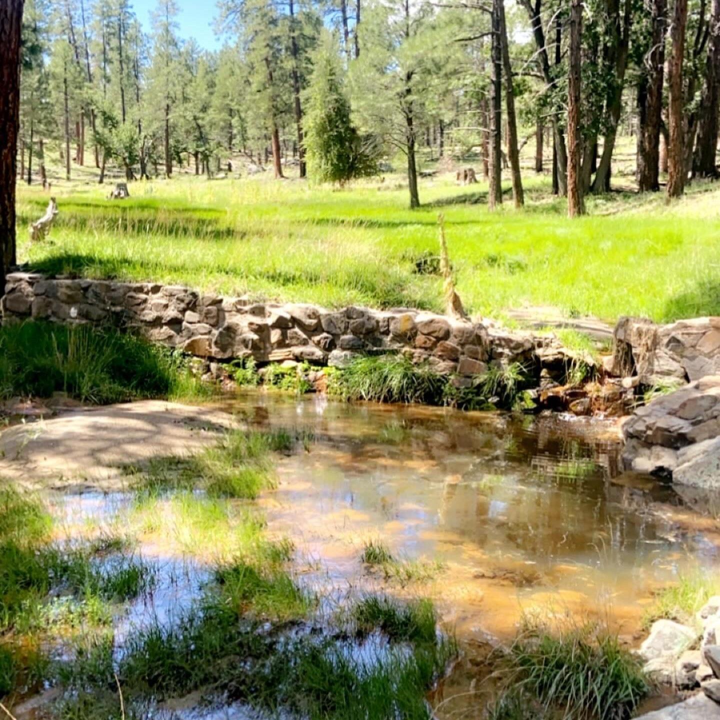 Another photo of where Brandon proposed to Maddie