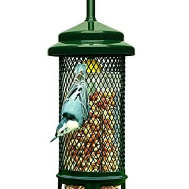 Squirrel Buster Nut Feeder Squirrel-Proof Bird Feeder for Nuts and Fruit, Two Meshes