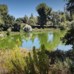 UC Davis Arboretum and Public Garden Headquarters