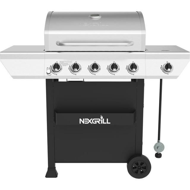 Propane Gas Grill in Stainless Steel