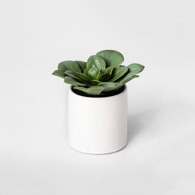 4.5" x 4" Artificial Dudleya Succulent In Pot Green/White - Project 62&#153;