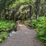 Walking and Hiking Trails
