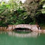 Bio Bay Tour