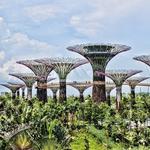 Gardens by the Bay