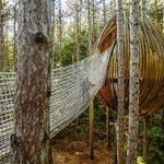 Whiting Forest Canopy Walk