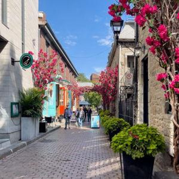 Honeymoon in Montreal