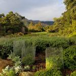Santa Barbara Botanic Garden