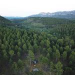 Custer State Park