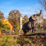Saint Louis Zoo