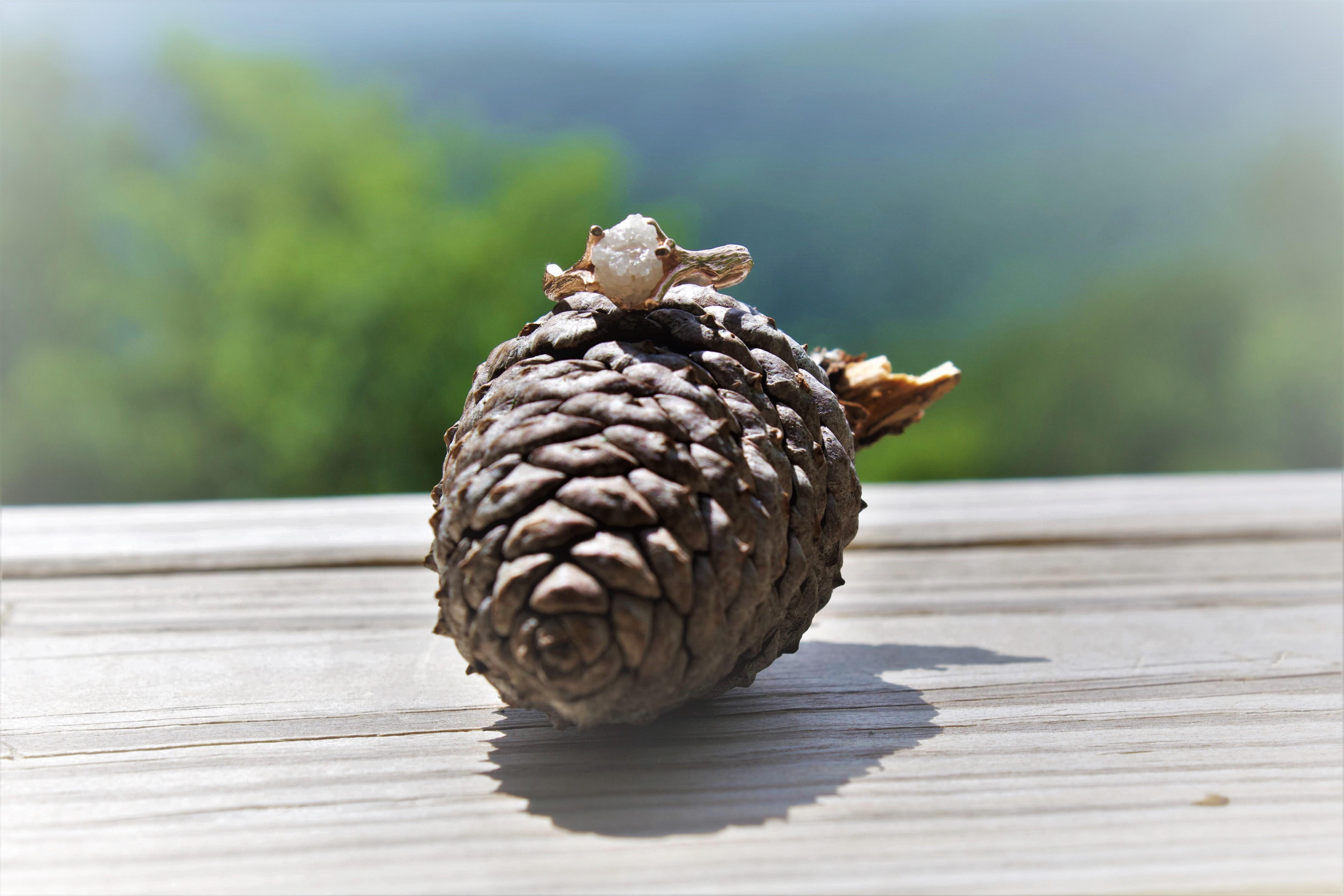The Wedding Website of Matt Cooper and Teresa Dover