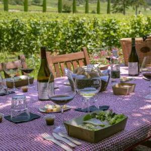 Lunch in a Vineyard
