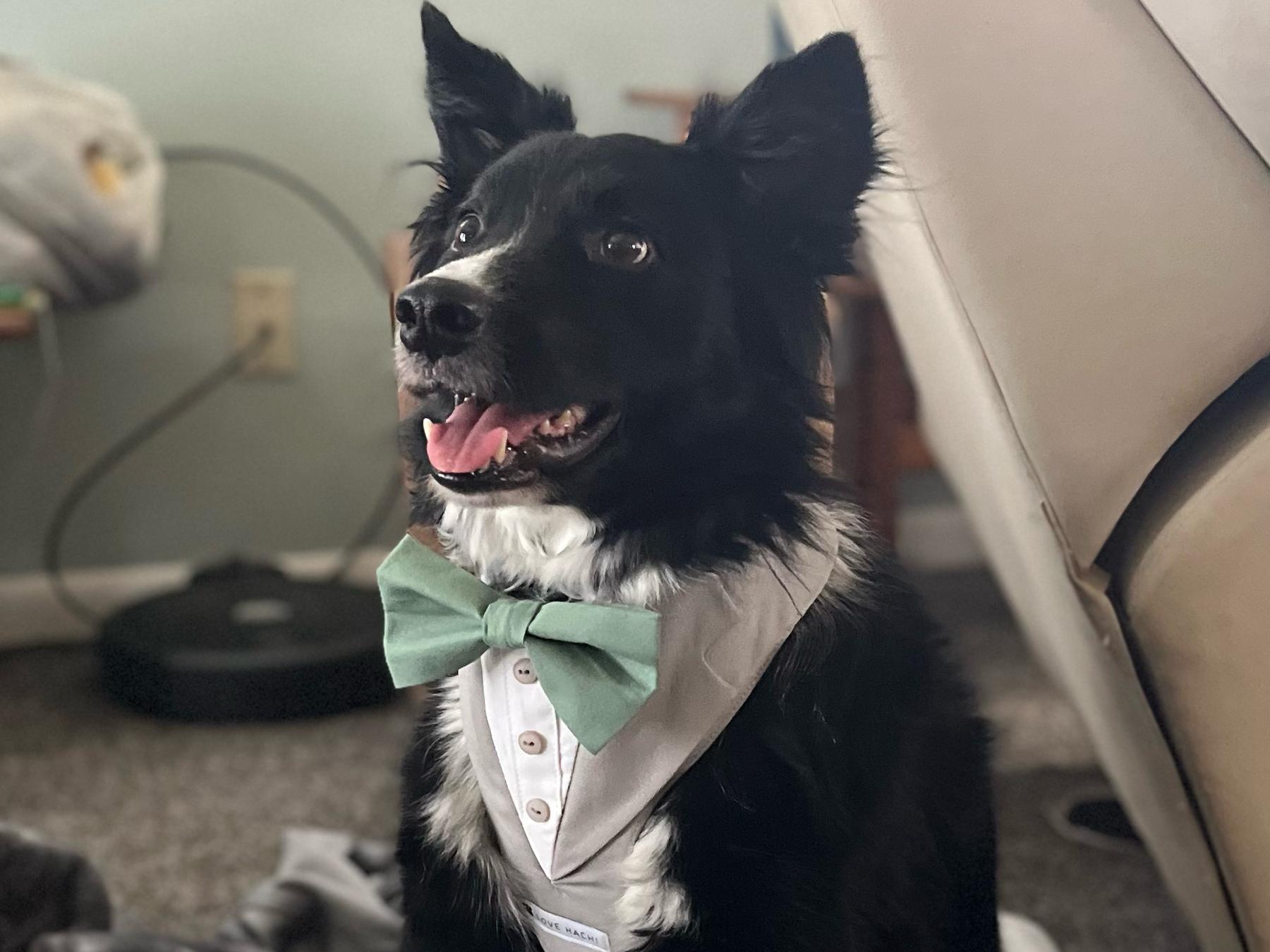 The Wedding Website of Jamie Schroeder and Eric Santure