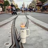 Walt Disney World® Resort