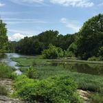 Chessie Nature Trail