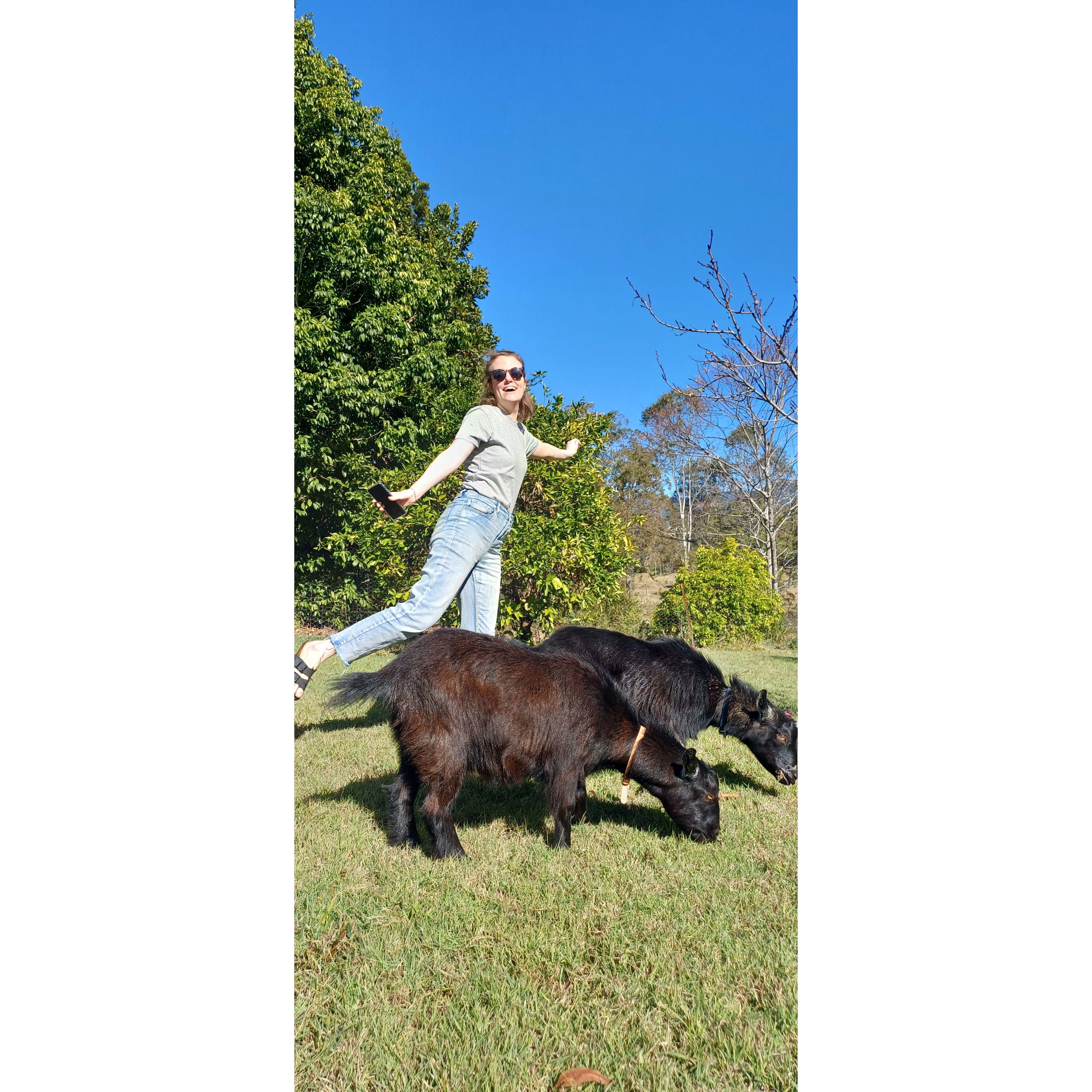Caitlin with the goats