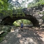 Schenley Park/Panther Hollow