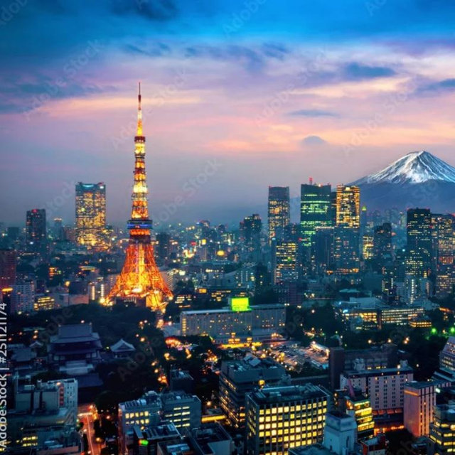 4 Night Stay In A Tokyo Hotel