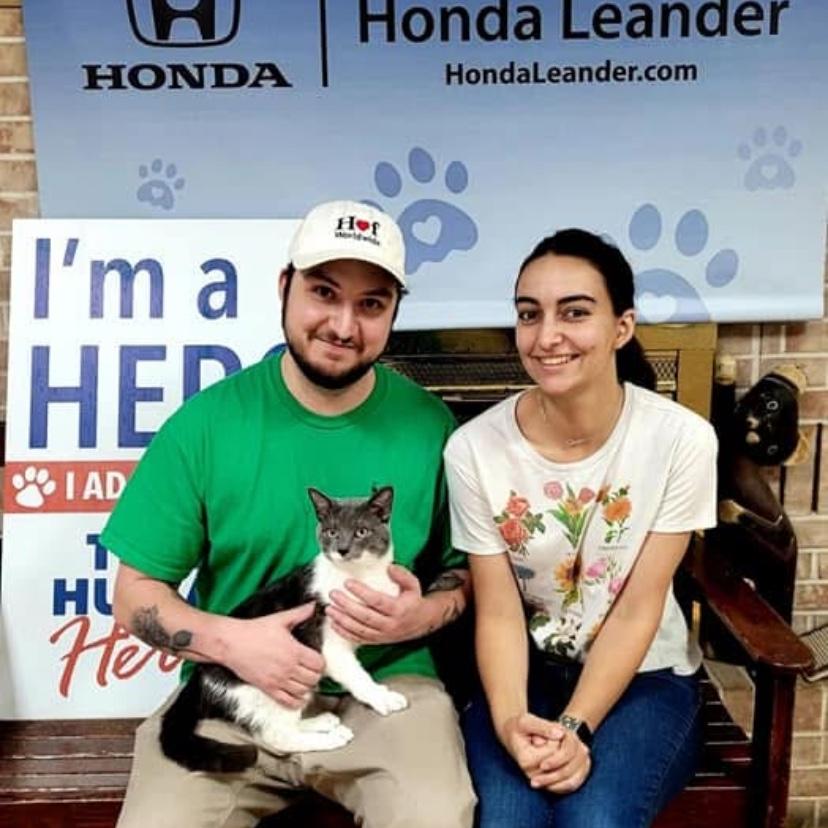 We got Sam's cat, Sanji, shortly after we got together