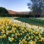 Gibbs Gardens