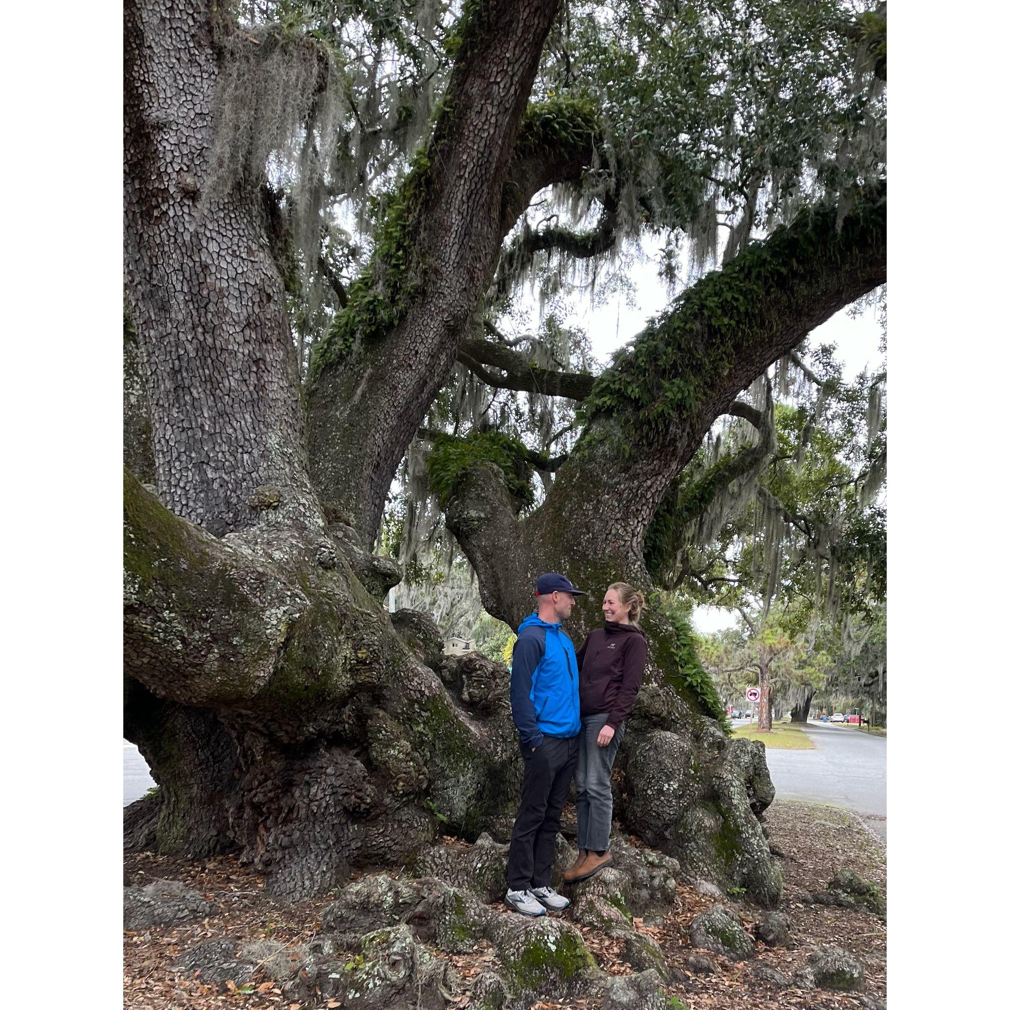 Feeling the love at the "Lover's Oak" in Brunswick, GA