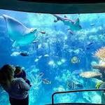 Aquarium of the Pacific