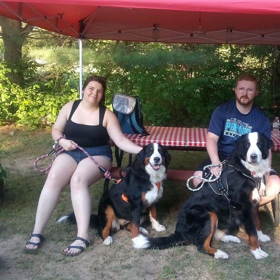 Our Furbabies, Sweet Teddy Girl