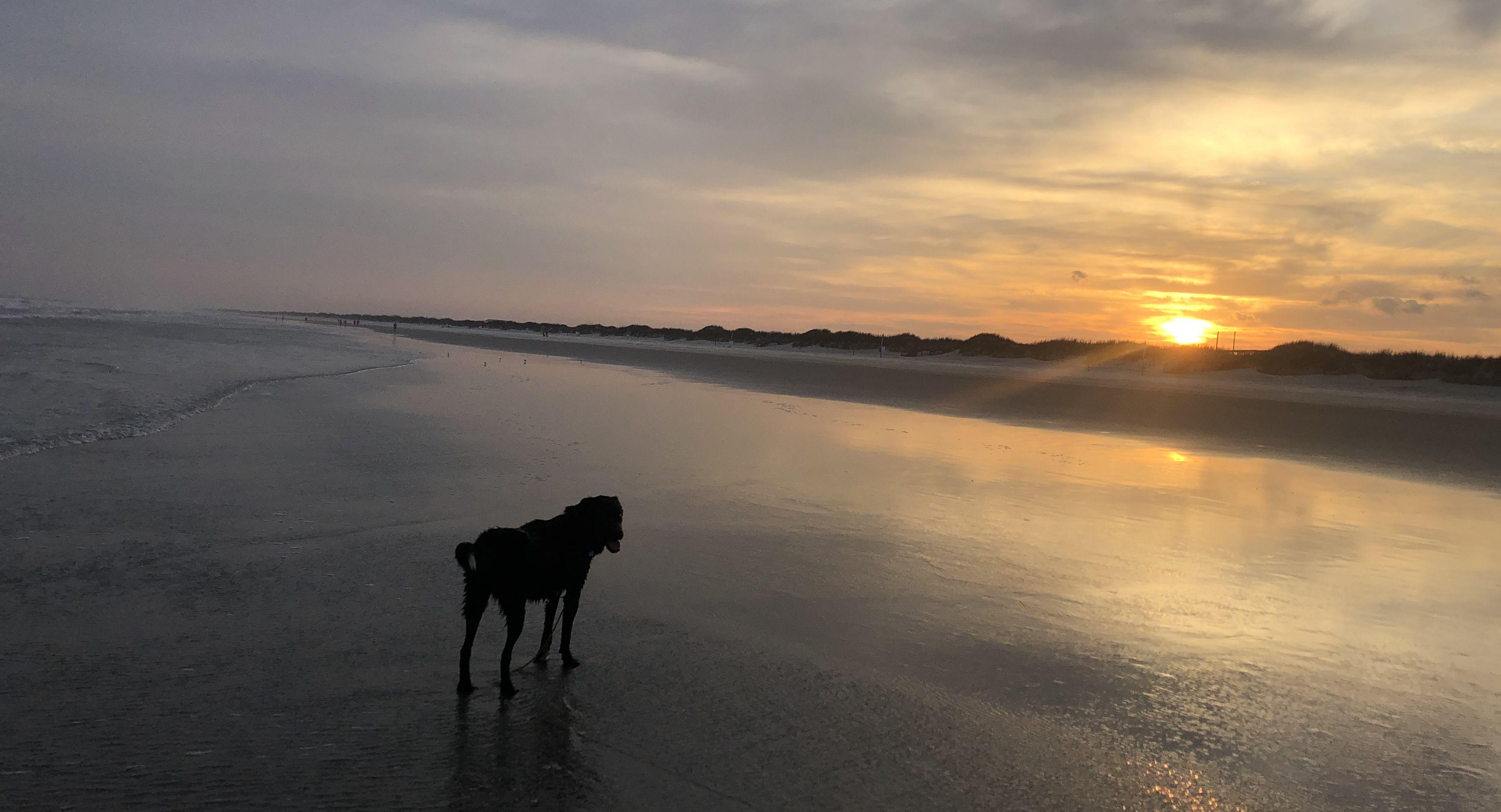 The Wedding Website of Ryan Koski-Vacirca and Ansley Fennell