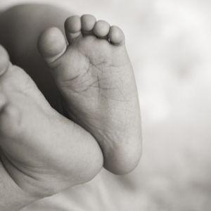 IVF Registry