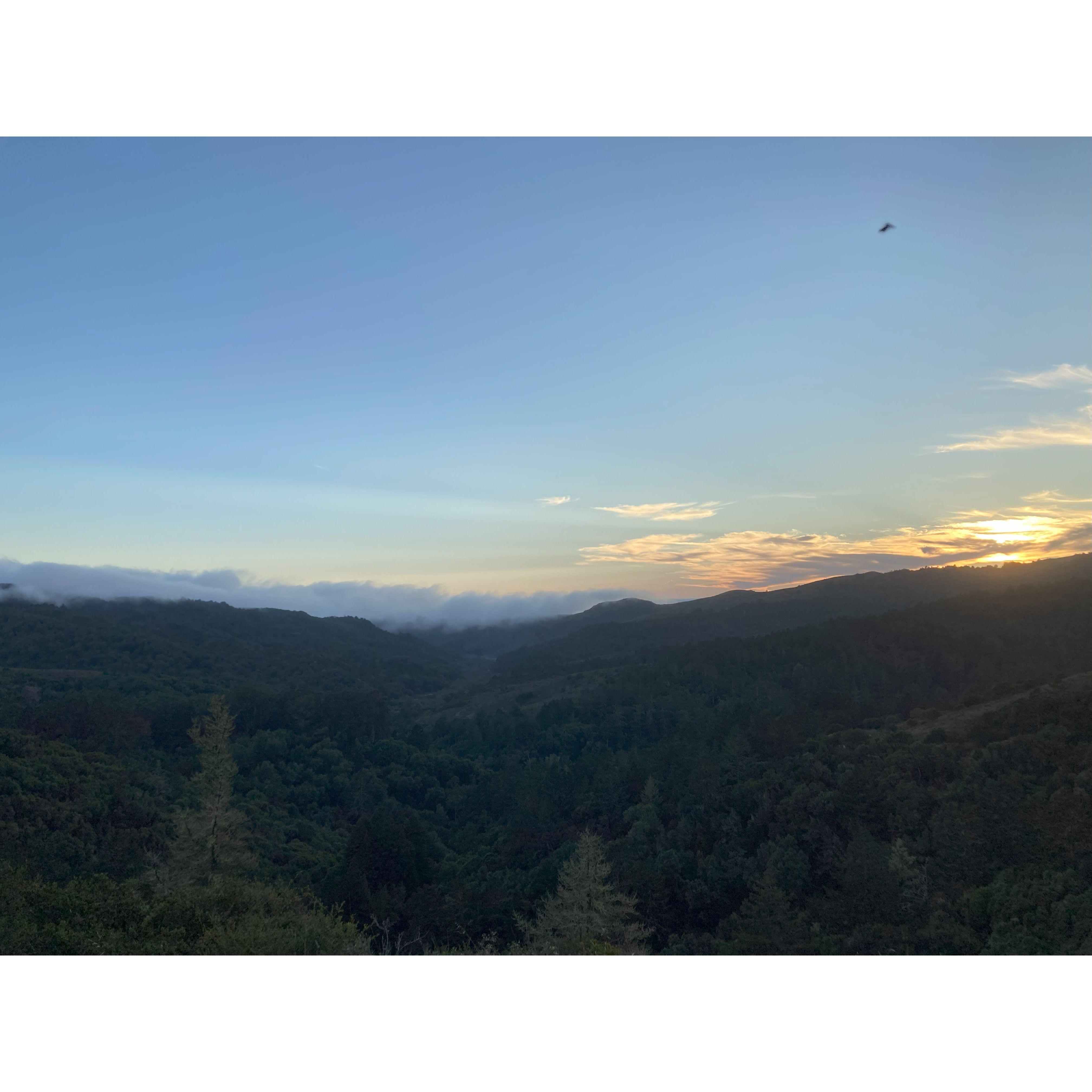 Sunset leaving Muir Woods
