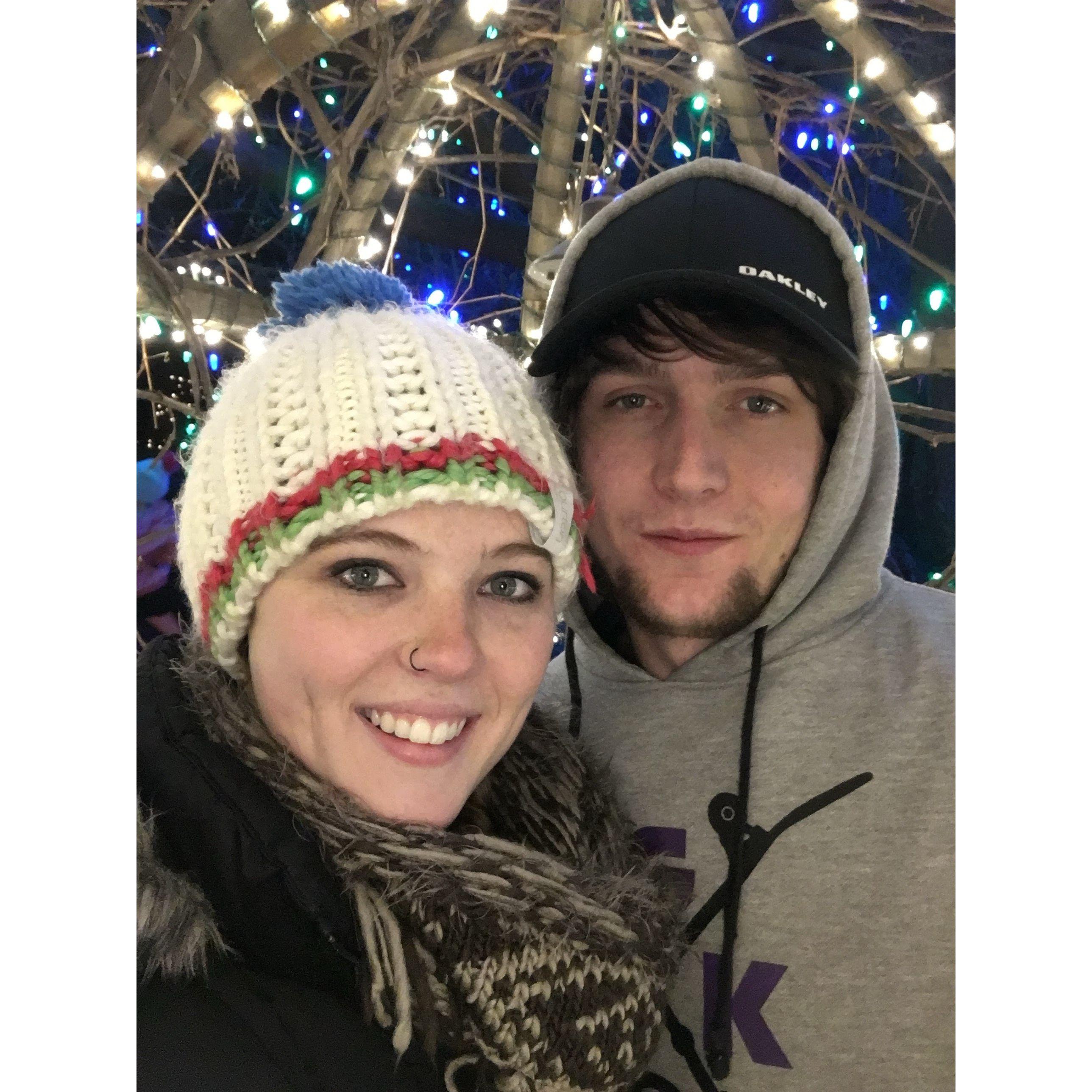 Zoo lights