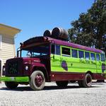 Ride a bus through the vineyards!