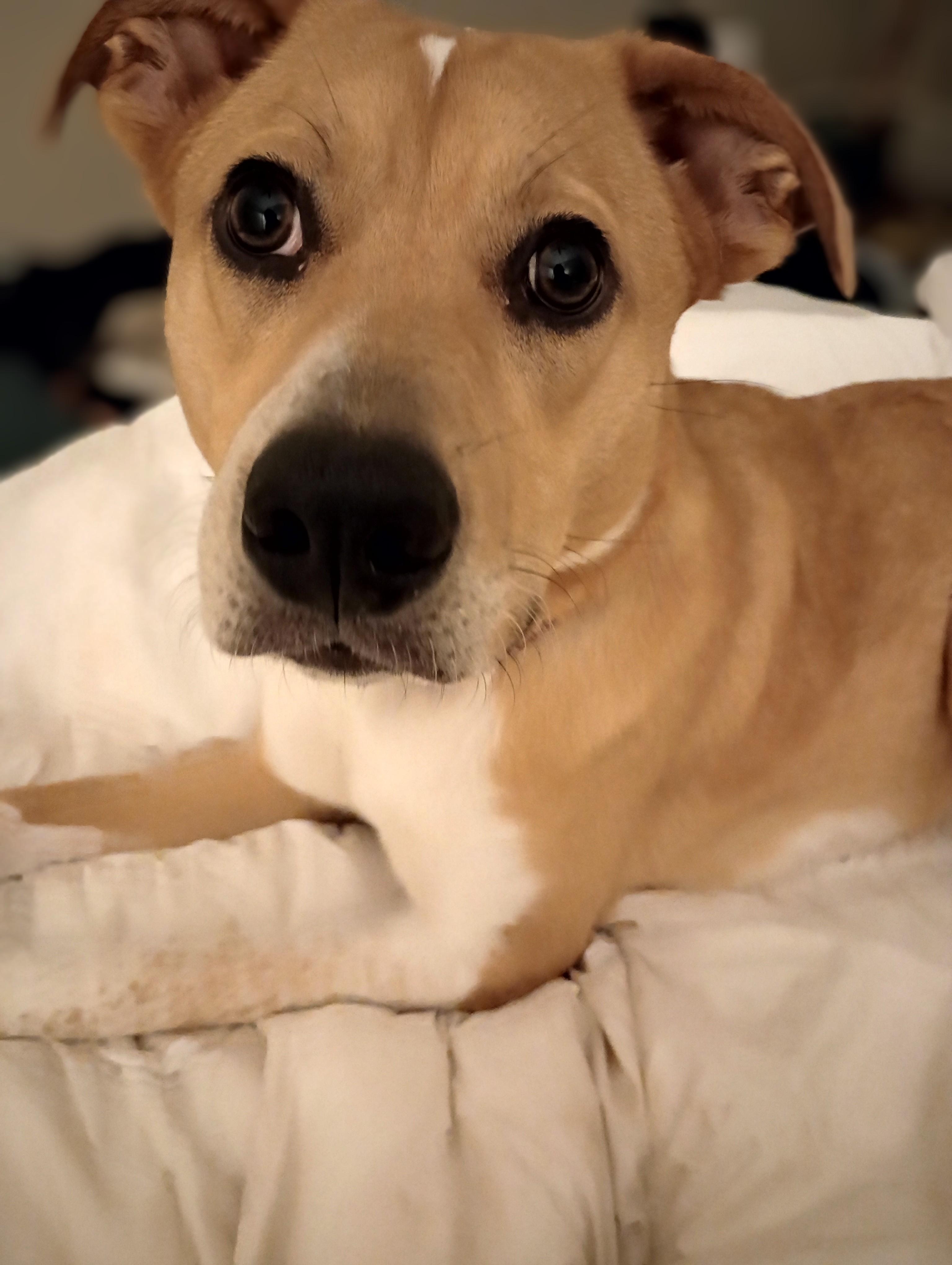 The Wedding Website of Elizabeth Weis and Brandon Hoff