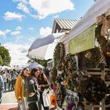 Fairfax Fall Festival