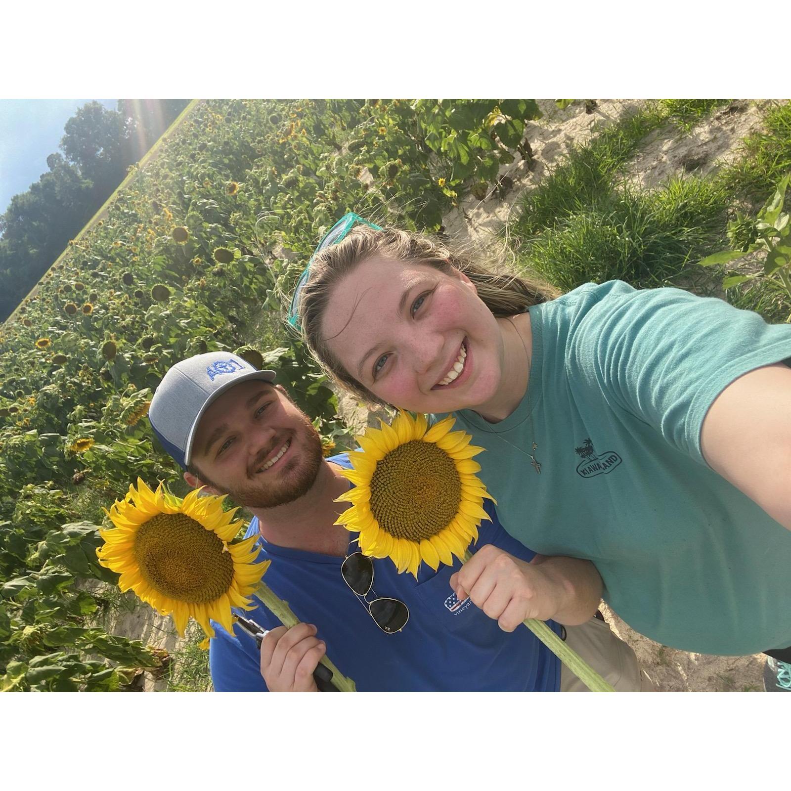 The one with the Sunflowers