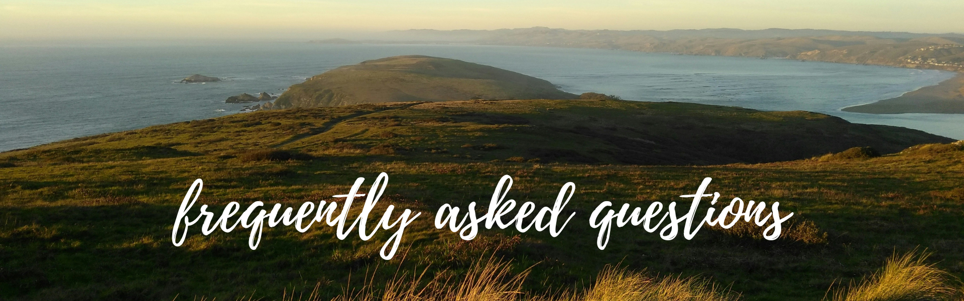 The Wedding Website of Emily Reed and Cameron Thomas