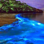 Luminous Lagoon Glistening Waters