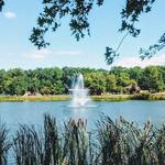 Laurel Acres Park