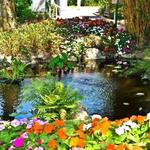 Florida Botanical Gardens