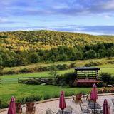Red Heifer Winery