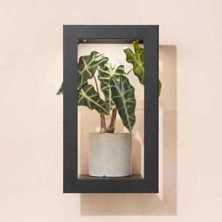 Portrait Growframe